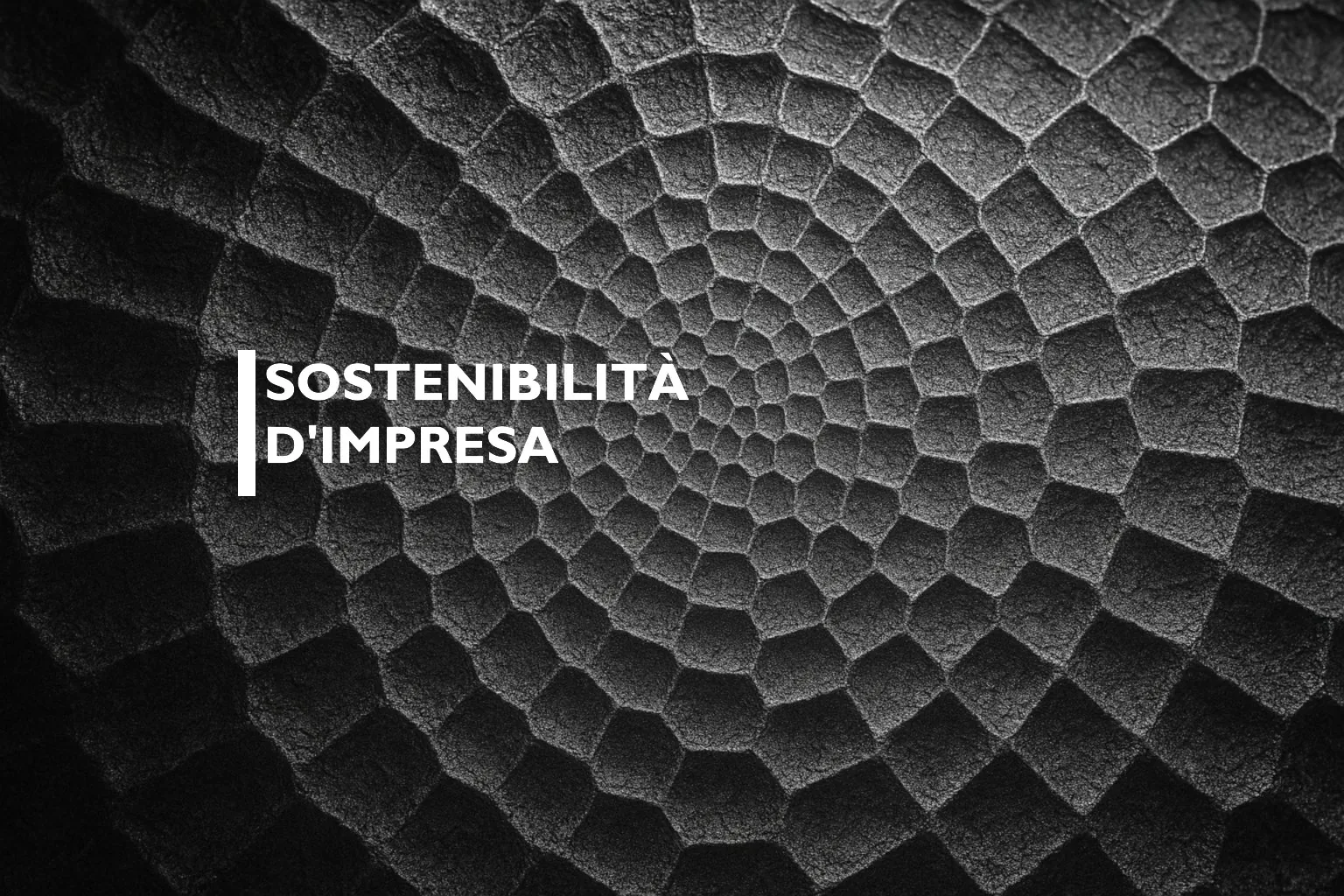 Sostenibilità d'impresa